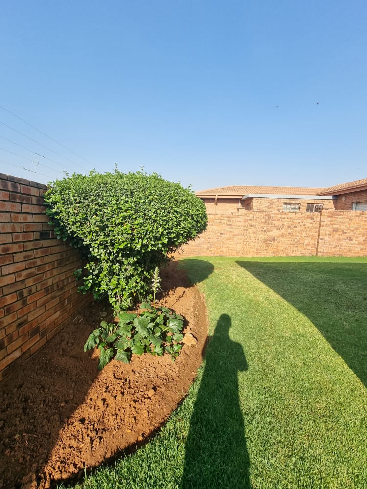 To Let 3 Bedroom Property for Rent in Sasolburg Free State